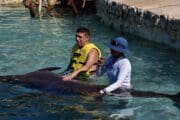 Jeep Riders Dolphin Cozumel Tours