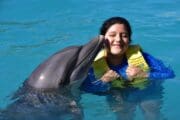 swim with dolphin cozumel