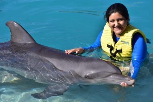 swim with dolphin cozumel and jeep riders