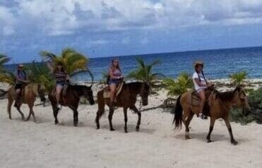 Cozumel-Horseback-Riding