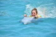 Swim with dolphin cozumel