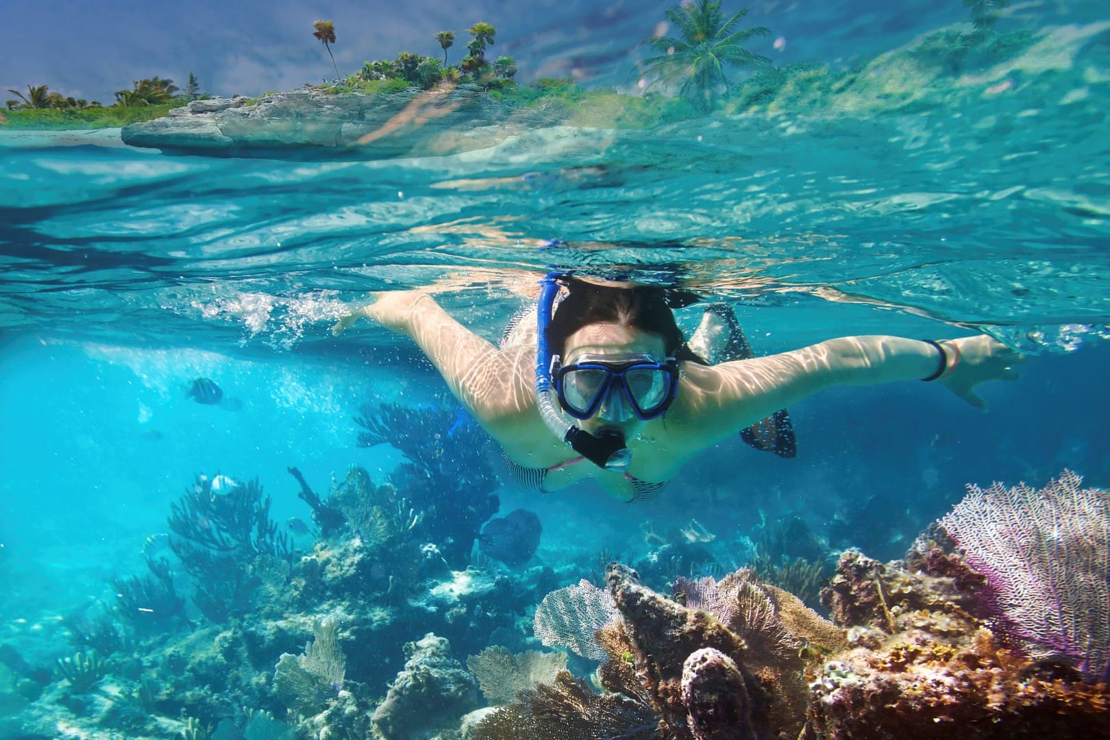 Cozumel Snorkeling tour