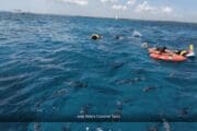 Snorkel tour Palancar y Colombia, El Cielo Cozumel