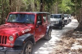 Cozumel Jeep Adventure to Jade Cavern and Cenote with Lunch and snorkel- Cozumel tours excursions