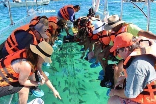cozumel snorkel clearboat